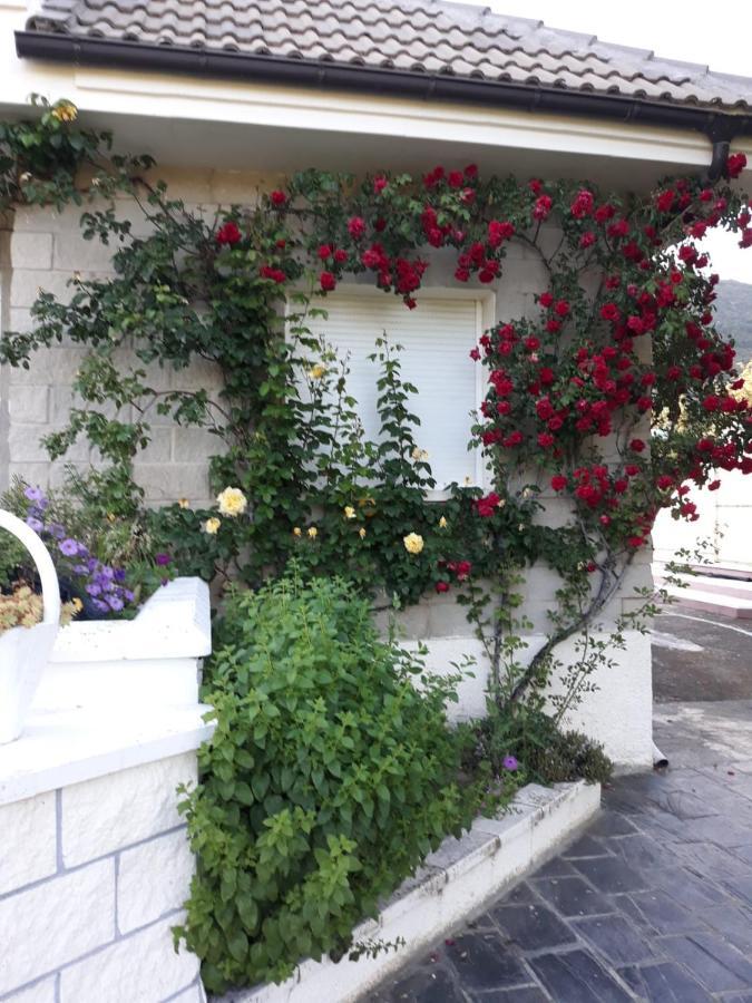 Amapolas